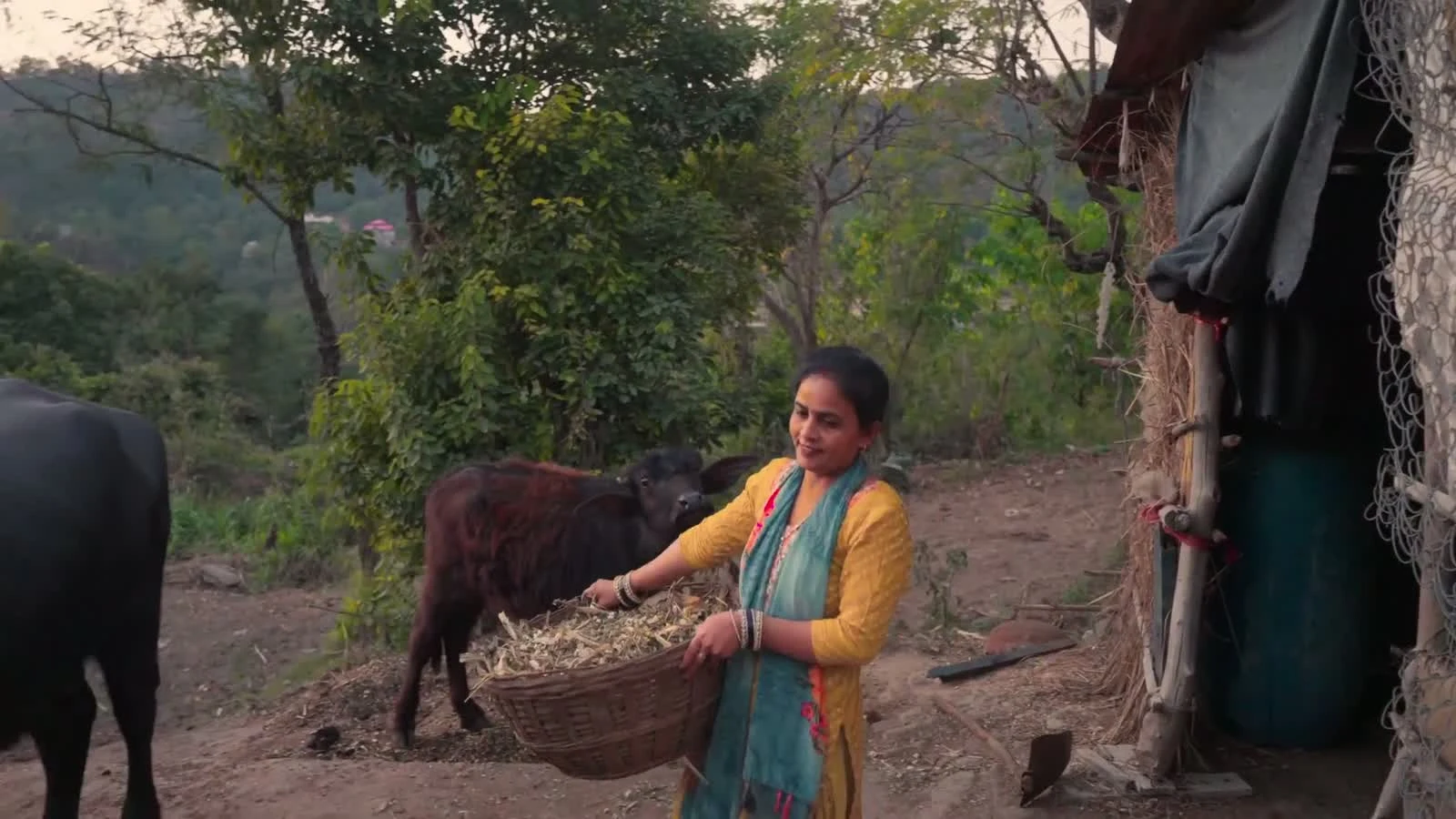 CSR showreel — Dehra Productions
